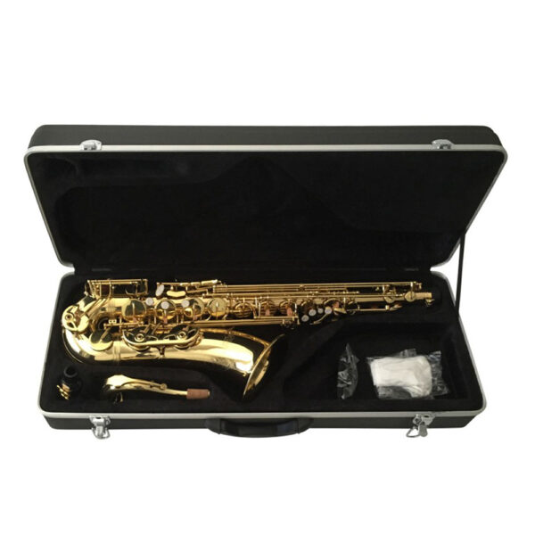 Accesorios Saxofón Tenor Prestini