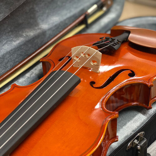 Corda Per Violoncello Larsen Soloist - Acciaio, La Medium, 4/4 - Foto 4